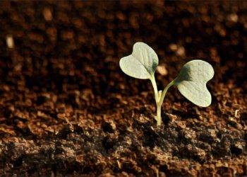 2018 ： 又是一個區塊鏈大放異彩的年度