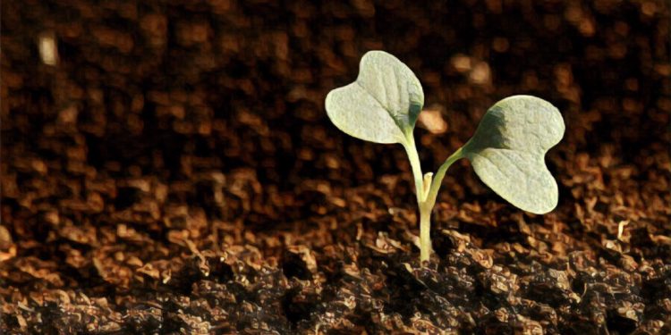 25511089_1970452539638719_2124894774_o | 動區動趨-最具影響力的區塊鏈新聞媒體 2018 : 又是一個區塊鏈大放異彩的年度