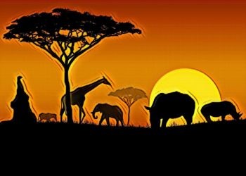 【非洲 最有潛力的比特幣市場?】Paxful交易平台在非洲的月交易額達4000萬美元