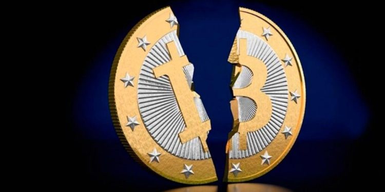 【綜合論點】哈佛大學經濟學者認為比特幣十年後價值將僅存100美元