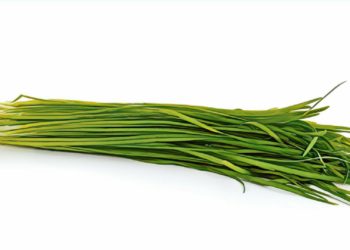 【簡述「炒幣」特徵】那些年 我們一起追的幣