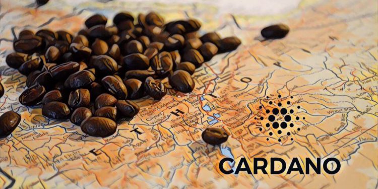 31634123_2140465862637385_1449329794842886144_n | 動區動趨-最具影響力的區塊鏈新聞媒體 【東非】衣索比亞正嘗試用區塊鏈技術追蹤咖啡出口供應鏈,以Cardano區塊鏈為基礎