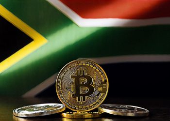 【南非市場】MyBroadband調查報告：47%的南非人打算投資加密貨幣