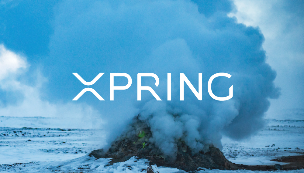 【瑞波新應用｜Xpring】讓瑞波幣為企業投資、孵化和贈款增添門路