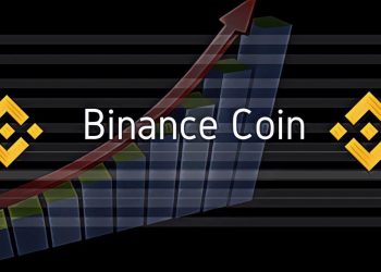 【幣安｜BNB】幣安幣（BNB）大漲，對比特幣的匯率創下歷史新高