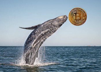 【市場動向】準備大拋售？神秘的「亞洲巨鯨」釋出8000枚比特幣至火幣交易所