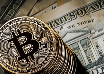 【大型風險投資公司】：儘管面臨熊市，投資人依舊對加密貨幣市場保持高度熱情