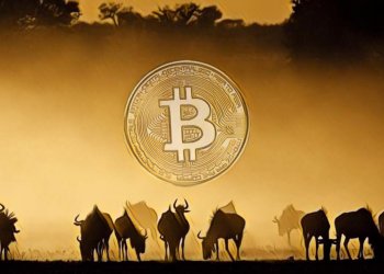 【銀行報告｜西非】Ecobank 報告：非洲監管者對加密貨幣採取「且走且看」的觀察模式