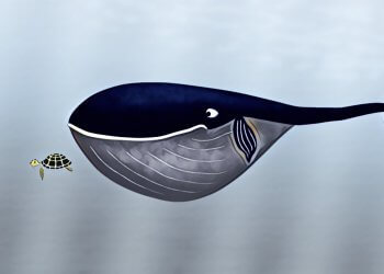 【OTC｜場外交易】報告揭密：OTC市場比加密交易所要大得多——真正「鯨魚」在這裡交易