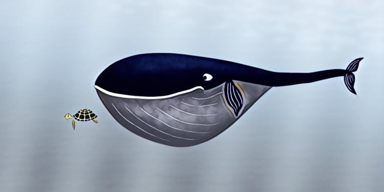 【OTC｜場外交易】報告揭密：OTC市場比加密交易所要大得多——真正「鯨魚」在這裡交易