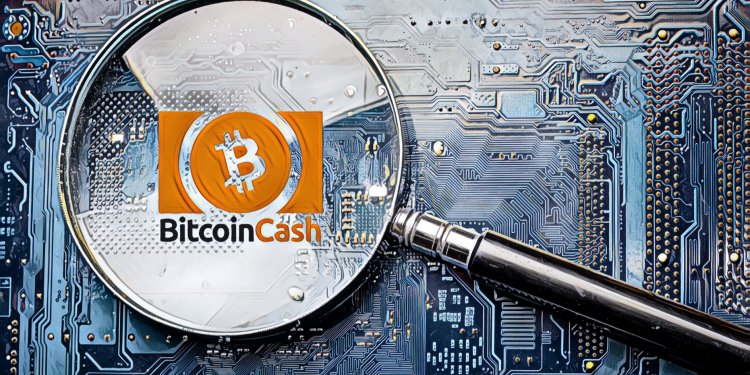 【比特幣現金｜鏈拆分漏洞】發現人身份公開：日前BCH的重大漏洞，是由Bitcoin Core開發者找出
