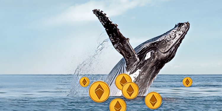 IMG_7933 | 動區動趨-最具影響力的區塊鏈新聞媒體 【快訊】創世區塊以太幣ICO輪大鯨魚投資者,正將「數萬枚」以太幣轉移到交易所