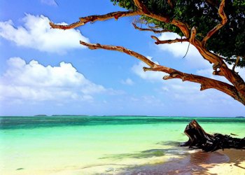 國際貨幣基金組織（IMF）警告馬紹爾群島共和國：發行國家加密貨幣將拖累該國經濟