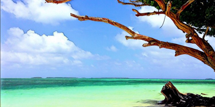 國際貨幣基金組織（IMF）警告馬紹爾群島共和國：發行國家加密貨幣將拖累該國經濟