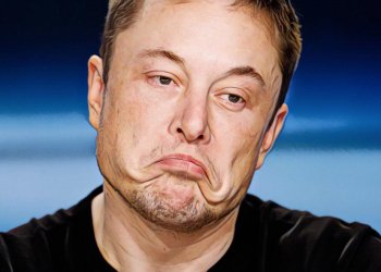 鋼鐵人企業家Elon Musk向狗狗幣創辦人求助，希望能解決推特帳號上的「加密貨幣詐騙機器人」