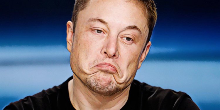 鋼鐵人企業家Elon Musk向狗狗幣創辦人求助，希望能解決推特帳號上的「加密貨幣詐騙機器人」