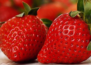 【動區專欄】區塊鏈農產履歷真的有用？從「草莓插針案」審視區塊鏈溯源的意義