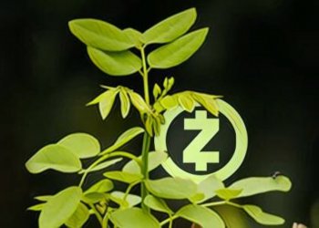Zcash完成樹苗升級！— 減少100倍內存量、速度提高6倍，更加實現隱私性