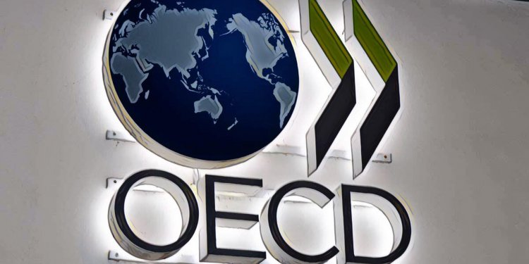 經濟合作暨發展組織（OECD）：ICO 具有融資效益，但不是主流選項