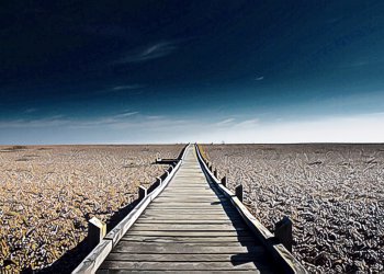 誰敢先上岸？泰國有望成為亞洲 STO 先遣隊