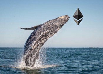 「只有 376 人，就持有總量三分之一的以太幣」—— 分析公司 Chainalysis 研究指出