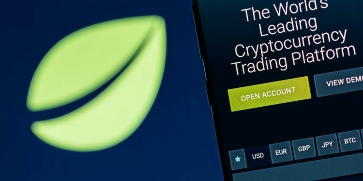 S__27861035 | 動區動趨-最具影響力的區塊鏈新聞媒體 Bitfinex 的 LEO 代幣私募正在進行,股東之一的趙東已經在預售「公開募資」的銷售額度