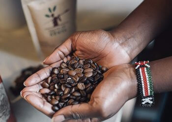 巴西農村的咖啡農，將可以使用「咖啡幣」進行融資、採購