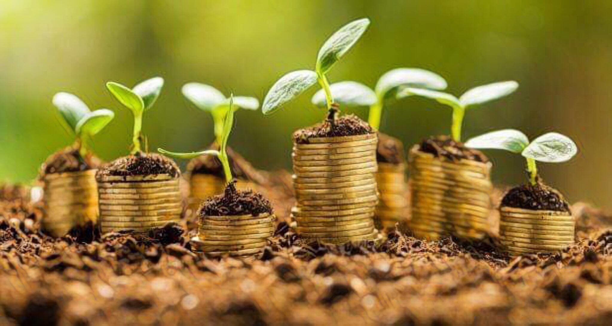 一間美國公司發行對沖基金，持有 Coinbase、Bakkt 等區塊鏈新創的股份，開放合格投資人認購