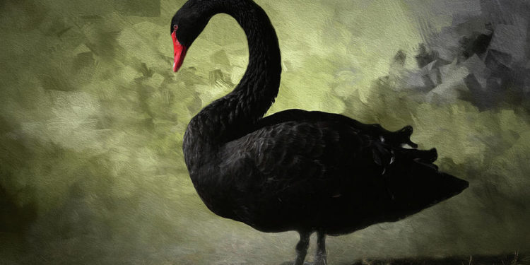 march-12-the-day-crypto-market-structure-broke-part-2-featured | 動區動趨-最具影響力的區塊鏈新聞媒體 黑天鵝事件(二):如何應對區塊鏈與加密貨幣市場結構崩潰?