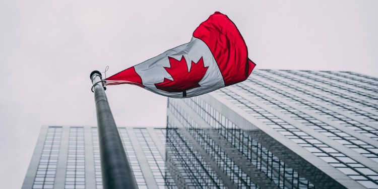 螢幕快照 2020-03-19 下午5.35.26 | 動區動趨-最具影響力的區塊鏈新聞媒體 反洗錢|FATF 審查六月降臨!加拿大監管修正案:1千加元以上「交易」須提交記錄文件