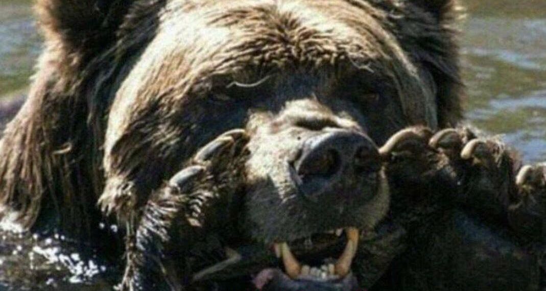 幣市短評｜分析師：道瓊跌破週線 200 EMA，比特幣下行風險高