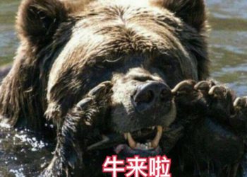 幣市短評｜分析師：道瓊跌破週線 200 EMA，比特幣下行風險高