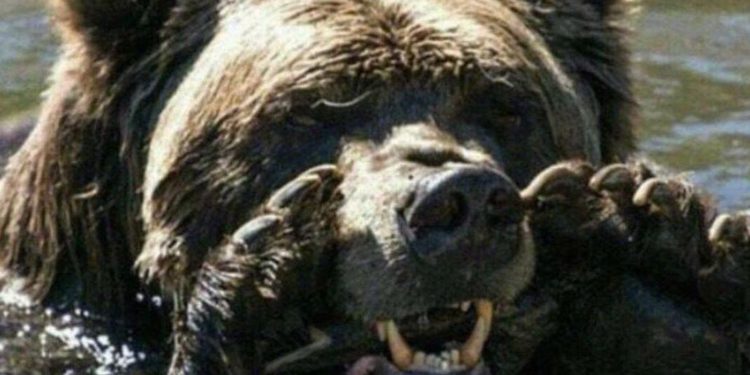 156271731957583811 | 動區動趨-最具影響力的區塊鏈新聞媒體 幣市短評|分析師:道瓊跌破週線 200 EMA,比特幣下行風險高