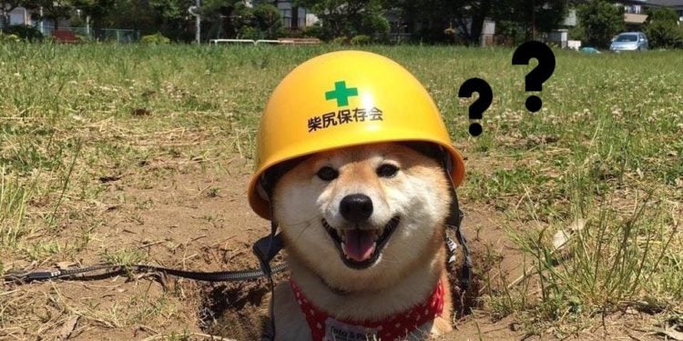 涉案金額最高達 8 千萬！埋狗狗窩、藏體育館，為了「挖礦盜電」他們想盡了辦法