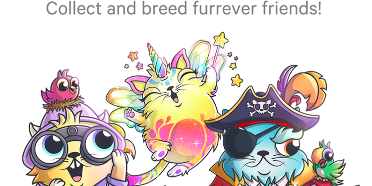 interview-dapper-labs-produced-by-dappreview-1 | 動區動趨-最具影響力的區塊鏈新聞媒體 深度解析|揭秘「加密貓 CryptoKitties」背後的成功故事、「Flow」的殺手鐧