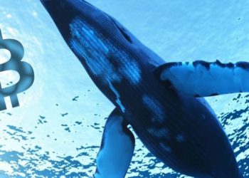 以為大鯨魚又要拋售！託管機構 Xapo 突轉移 7 億美元比特幣，手續費不到 0.26 美元