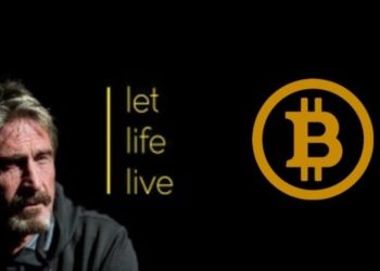 吃雞食言王 McAfee 再拋預測：這次疫情加密貨幣幫不上忙，但比特幣會大漲