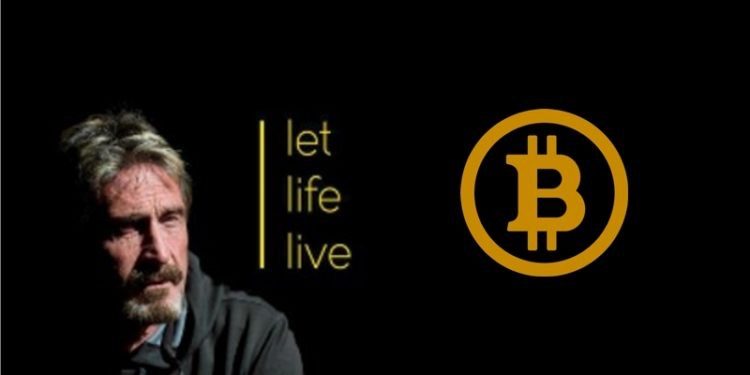 吃雞食言王 McAfee 再拋預測：這次疫情加密貨幣幫不上忙，但比特幣會大漲