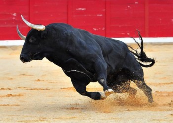 彭博社報告：比特幣今年有機會重返 20,000 美元！疫情、機構巨鱷催生牛市到來