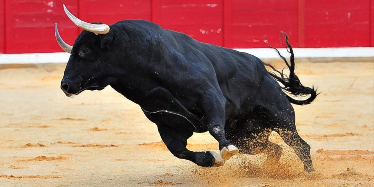 彭博社報告：比特幣今年有機會重返 20,000 美元！疫情、機構巨鱷催生牛市到來