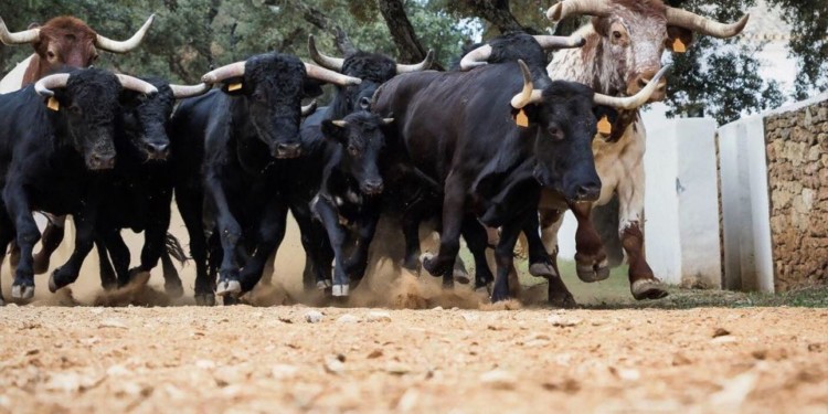 107260443_289551398915303_3566163400401588956_n | 動區動趨-最具影響力的區塊鏈新聞媒體 押注比特幣漲到50,000美元!有群投資人買入15萬美元在此「2021年BTC選擇權」