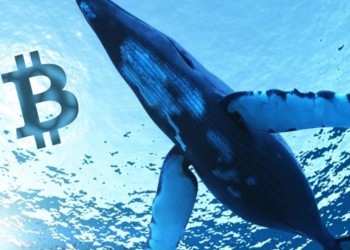 比特幣鯨魚翻身！趁萬點操縱市場，在 BitMEX 「賣空」4400 萬美元 BTC