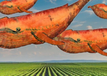 挖番薯重啟信心十足？YAM v2 計畫開跑，投資人再鎖倉 4 億美元在 YAM