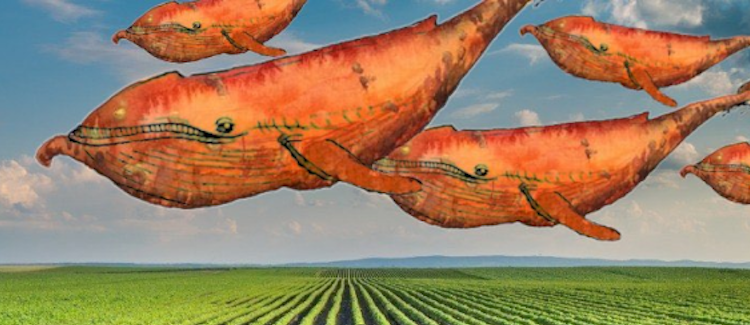 0_j0YUCgXZp27aJBgM | 動區動趨-最具影響力的區塊鏈新聞媒體 挖番薯重啟信心十足?YAM v2 計畫開跑,投資人再鎖倉 4 億美元在 YAM