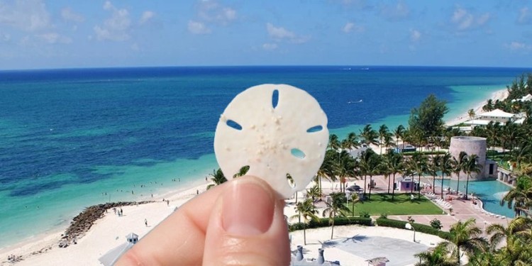 巴哈馬Bahamas央行發行之數位貨幣 —— 沙錢 Sand Dollars