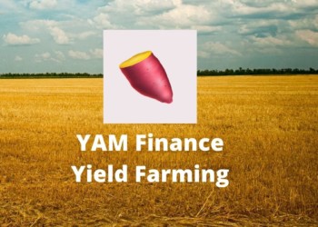 挖蕃薯風波｜Yam Finance 爆智能合約漏洞！Defi 項目未經審計釀隱憂？