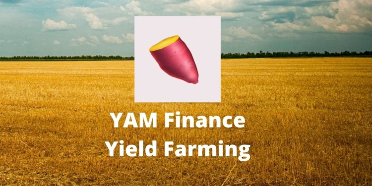 挖蕃薯風波｜Yam Finance 爆智能合約漏洞！Defi 項目未經審計釀隱憂？