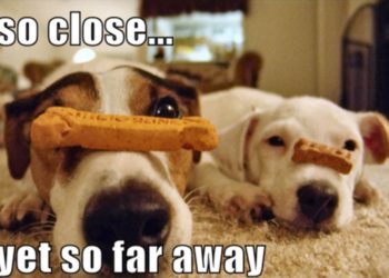 深度探討｜為什麼 Layer 2 看似成果顯著，卻還是離我們好遙遠？