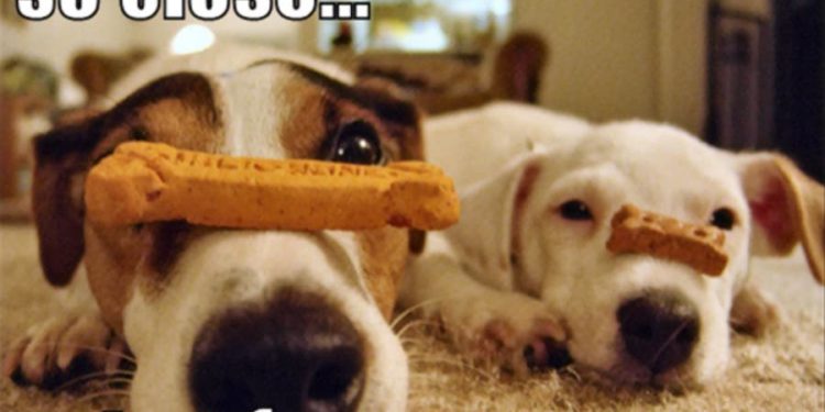 深度探討｜為什麼 Layer 2 看似成果顯著，卻還是離我們好遙遠？