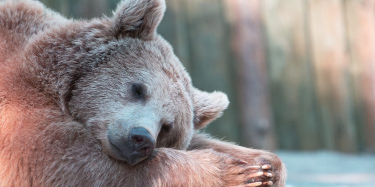 比特幣連續 8 天下跌，Defi保險能減少財務損失嗎？ – Nexus Mutuall, Opyn, Etherisc…